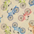 Bicykle - vzor